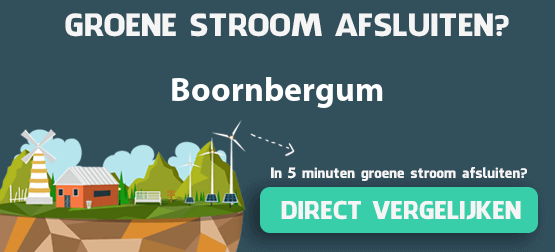 groene-stroom-boornbergum