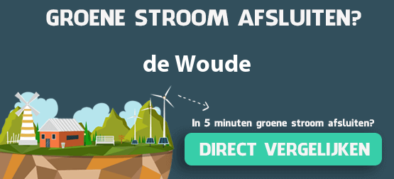 groene-stroom-de-woude