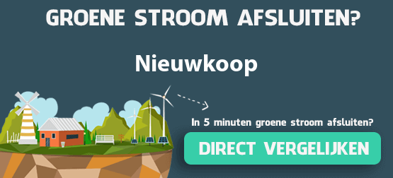 groene-stroom-nieuwkoop