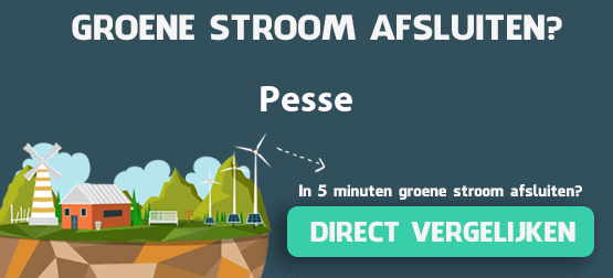 groene-stroom-pesse